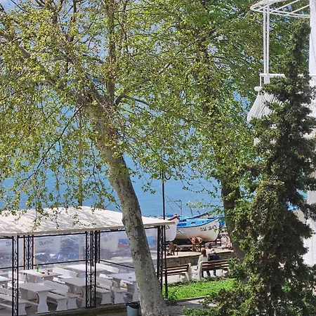 елинор * Pomorie